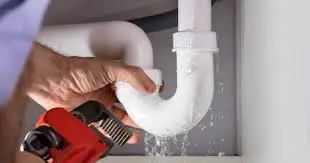 Checking Valves